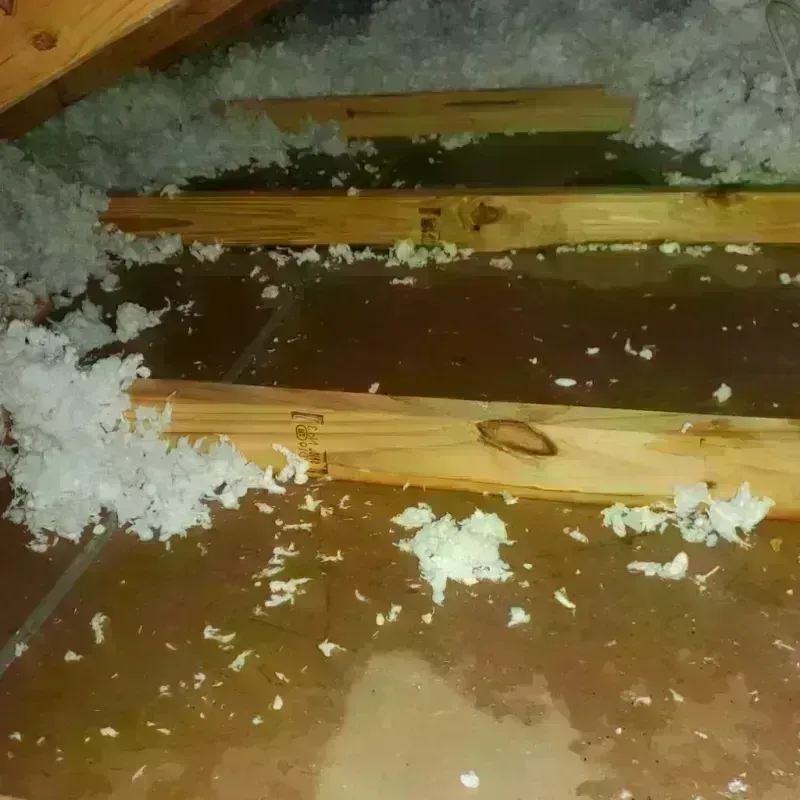 Attic Water Damage in Manchester, KY