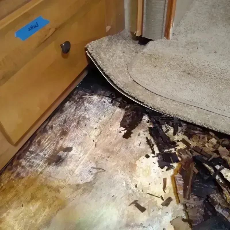 Best Wood Floor Water Damage Service in Manchester, KY